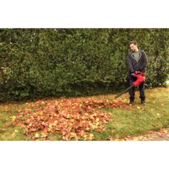 Souffleur électrique 3-en-1 Craftsman, 12 A, 450 Pcm, 260 M/h, Sac à Dos -Outsunnies Boutique 00277238d L