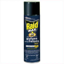 Insecticide Pour Guêpes Et Frelons Raid, Aérosol En Mousse, 500 G