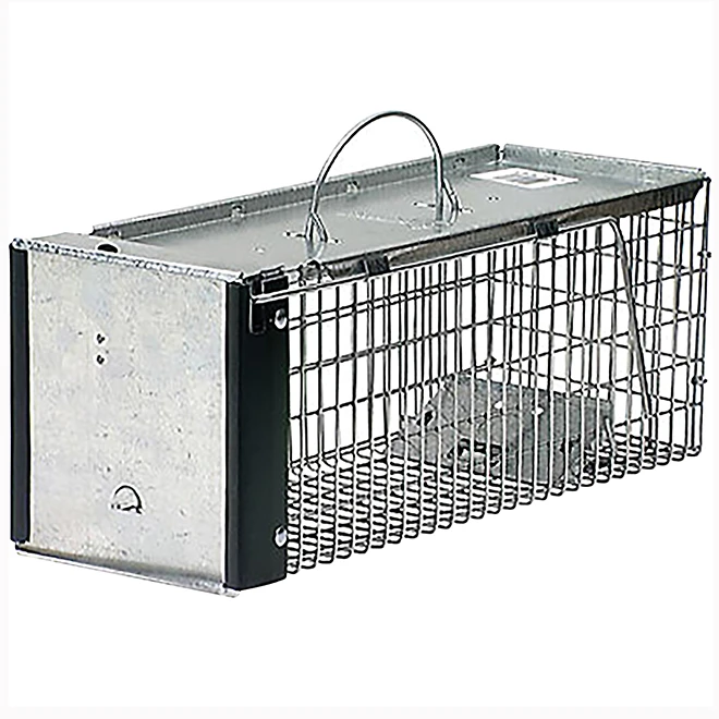 Piège De Type Cage Havahart ECKO Avec 1 Porte De Taille Très Petite 16 X 6 X 6 3/8 Po 3 Piège De Type Cage Havahart ECKO Avec 1 Porte De Taille Très Petite 16 X 6 X 6 3/8 Po