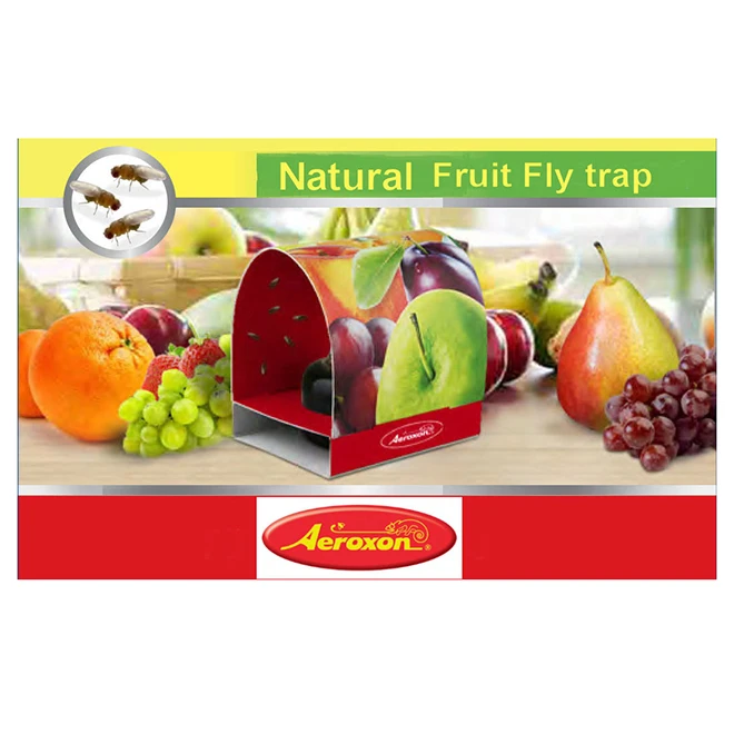 Piège à Mouches à Fruit Non Toxique, 2 Bandes 3 Piège à Mouches à Fruit Non Toxique, 2 Bandes