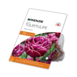 Bulbes De Tulipe Dream Touch De MCKENZIE 20 Po, Paquet De 20