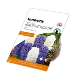 Bulbes De Jacinthe MCKENZIE Mélangés Mauves Et Blanches 10 Po, Paquet De 5