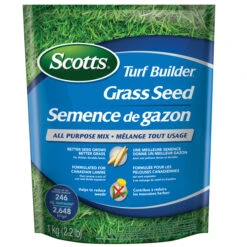 Semence De Gazon Scotts Turf Builder, Mélange Tout Usage, 1 Kg