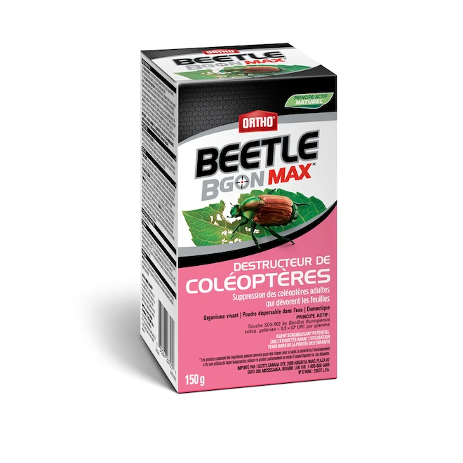 Insecticide Pour Coléoptères Ortho BGon Max En Format De 150 G 3 Insecticide Pour Coléoptères Ortho BGon Max En Format De 150 G
