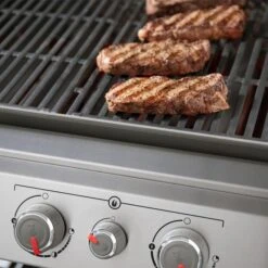 Barbecue Weber Au Gaz Propane Genesis II E-335, 60000 BTU Noir -Outsunnies Boutique 15895204e L