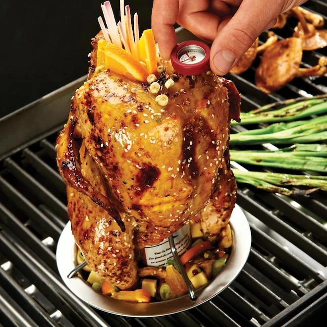 Rôtissoire à Poulet Broil King, Acier Inoxydable 4 Rôtissoire à Poulet Broil King, Acier Inoxydable – Image 2