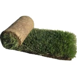 Rouleau De Gazon - 2 Pi X 4 Pi - Vert