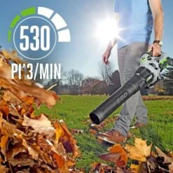 Souffleur à Feuilles EGO Sans Fil, Moteur Sans Balais, 530 PCM, 110 Mph (outil Seulement) -Outsunnies Boutique 32165012c L