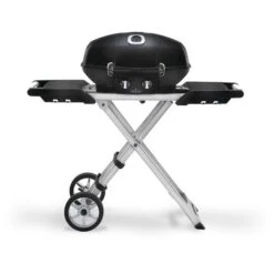 Napoleon Barbecue Napoléon Avec Chariot Portatif Intégré, 12 000 BTU