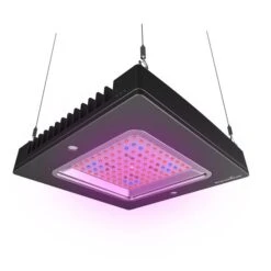 Lumière à DEL Numérique «Agri-Grow» De EmersonGrow(MD), Noir -Outsunnies Boutique 330673408 AlternateImage2 l