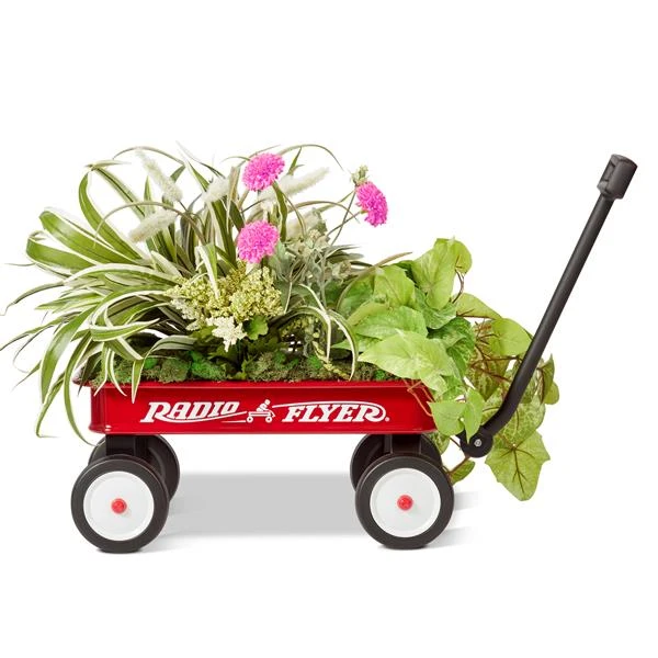 Chariot à Plateforme Pour Enfant, Rouge 7 Chariot à Plateforme Pour Enfant, Rouge – Image 5