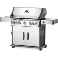 Barbecue Au Gaz Naturel Rogue SE 625 De Napoleon, 88 500 BTU, Acier-inoxydable -Outsunnies Boutique 330725214 AlternateImage1 l