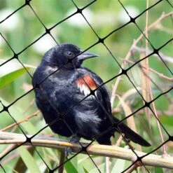 Filet à Oiseaux Standard De Bird-X, 100 Pi X 14 Pi