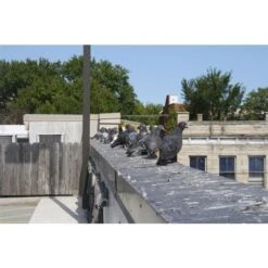 Piques Anti-oiseaux En Acier Inoxydable De Bird-X, 10 Pi 11 Piques Anti-oiseaux En Acier Inoxydable De Bird-X, 10 Pi -Outsunnies Boutique 330728546 AlternateImage4 l