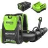 Souffleur à Feuilles Sac à Dos Greenworks Avec Batterie Et Chargeur, 80 Volts, 580 Pcm, 145 Mi/h