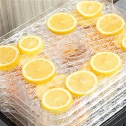 Déshydrateur D'aliments HomCom à 5 Plateaux -Outsunnies Boutique 331025432 AlternateImage3 l