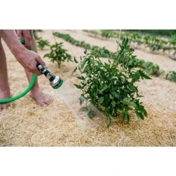 Paillis De Qualité Supérieure De 9 Kg Par HealthiStraw -Outsunnies Boutique 331067708 AlternateImage5 l