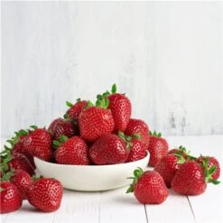 Plants De Fraises Albion Tasc, Paquet De 5 Pastilles -Outsunnies Boutique 332005013 AlternateImage2 l