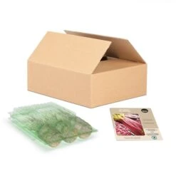Plants De Rhubarbe Victoria Tasc, Paquet De 3 Pastilles