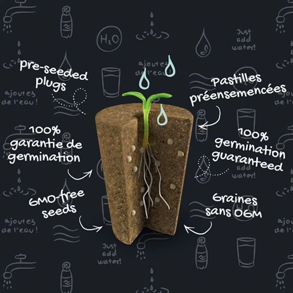 Ensemble De Fines Herbes Tasc Avec Persil, Aneth, Coriandre Et Basilic, 6 Pastilles De Chaque 4 Ensemble De Fines Herbes Tasc Avec Persil, Aneth, Coriandre Et Basilic, 6 Pastilles De Chaque – Image 2