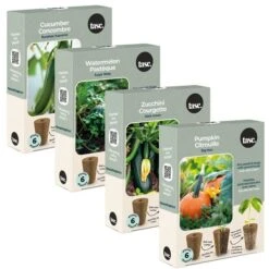 Ensemble Du Producteur Tasc Avec Concombres, Melons D'eau, Zucchinis Et Citrouilles, 6 Pastilles De Chaque