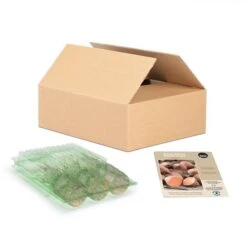 Plants De Patates Douces Radiance Tasc, Paquet De 3 Pastilles