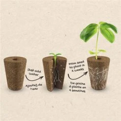 Ensemble De Légumes Croustillants Tasc De Concombres, Poivrons, Courgettes Et Pois Mangetout, 6 Pastilles De Chaque -Outsunnies Boutique 332005027 AlternateImage3 l