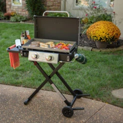 Barbecue Blue Rhino Razor Gaz Propane Portatif, 20 000 BTU, 318 Po², 2 Brûleurs, Noir -Outsunnies Boutique 60975001e L