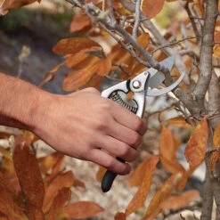 Fiskars Sécateur De Luxe 6 Fiskars Sécateur De Luxe -Outsunnies Boutique 6571035b L