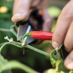 Fiskars Ciseaux Pour Herbes Et Légumes, Acier Inoxydable, 5" 9 Fiskars Ciseaux Pour Herbes Et Légumes, Acier Inoxydable, 5" -Outsunnies Boutique 65715167c L