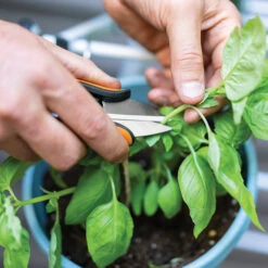 Fiskars Ciseaux Pour Herbes Et Légumes, Acier Inoxydable, 5" 10 Fiskars Ciseaux Pour Herbes Et Légumes, Acier Inoxydable, 5" -Outsunnies Boutique 65715167d L