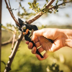 Sécateur à Contre-lame En Acier Noir Fiskars, 1/2 Po De Diamètre -Outsunnies Boutique 65715229b L