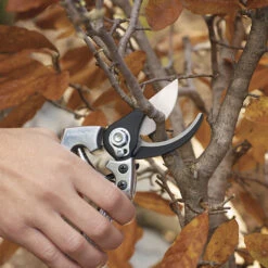 Sécateur à Contre-lame Inclinée En Acier Ultra Affutée Avec Poignée Standard, Fiskars 7 Sécateur à Contre-lame Inclinée En Acier Ultra Affutée Avec Poignée Standard, Fiskars -Outsunnies Boutique 65715230c L
