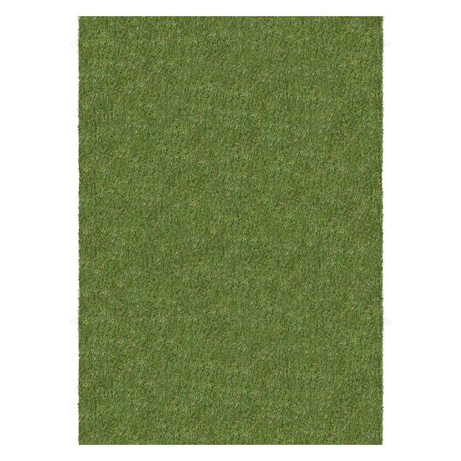 Tapis De Gazon Artificiel Multy Home, 5 Pi X 7 Pi, Vert 3 Tapis De Gazon Artificiel Multy Home, 5 Pi X 7 Pi, Vert